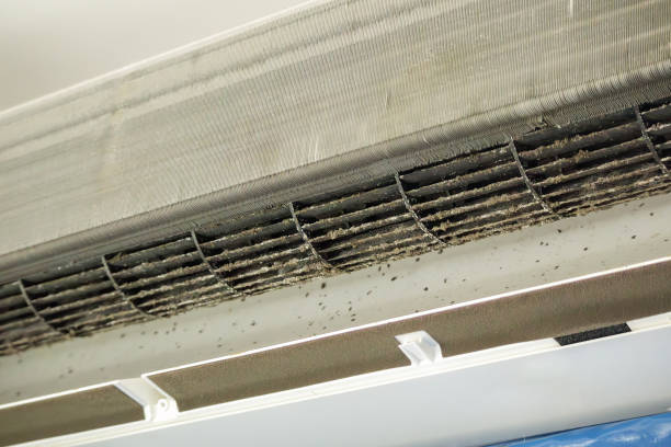 Best Best Air Duct Cleaning Company  in University Heights, IA